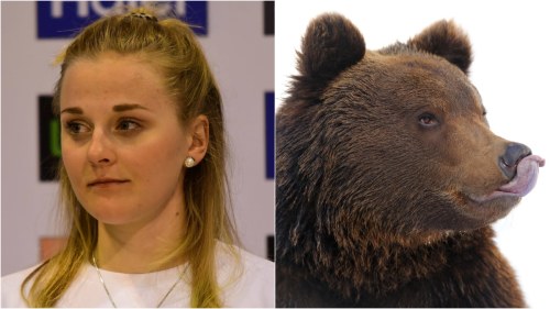hårig björn kön