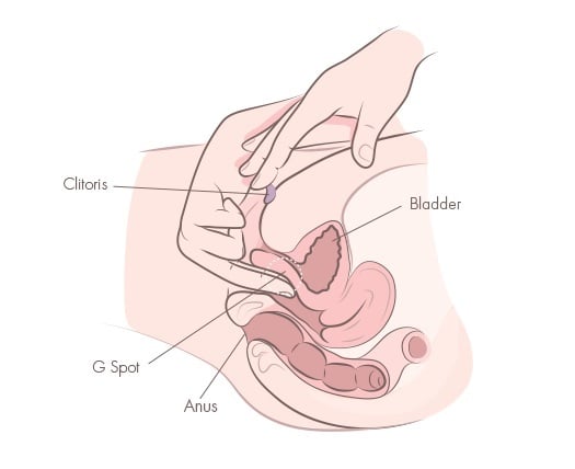 orgasm klitoris stimulering