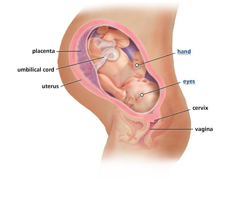 vagina gör ont gravid