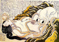 porr bläckfisk japansk
