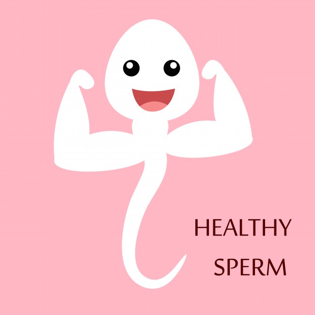 spermaproduktionen ökar