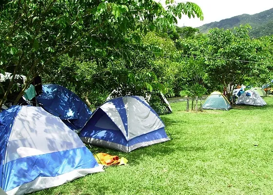 camping gratis voyeurism