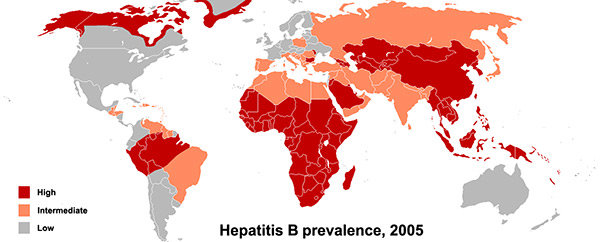 vuxna hepatit vaccinerar
