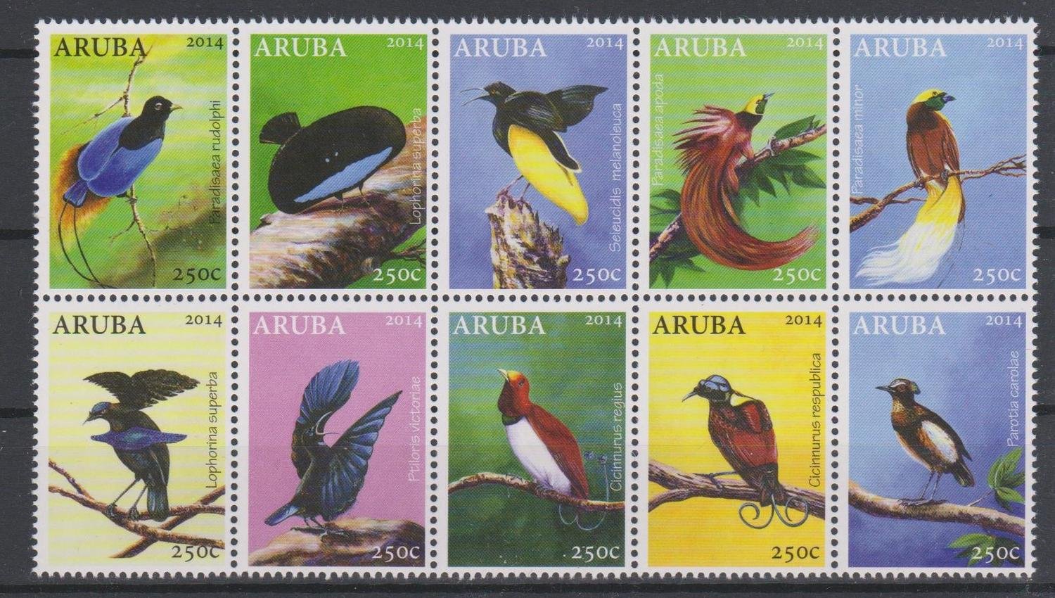 fåglar jungfruöarna